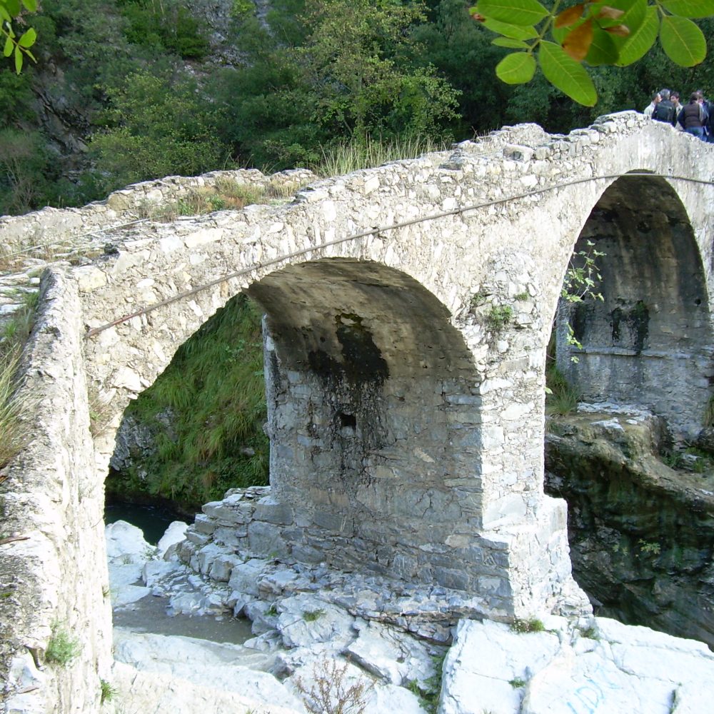 DSCN0310
